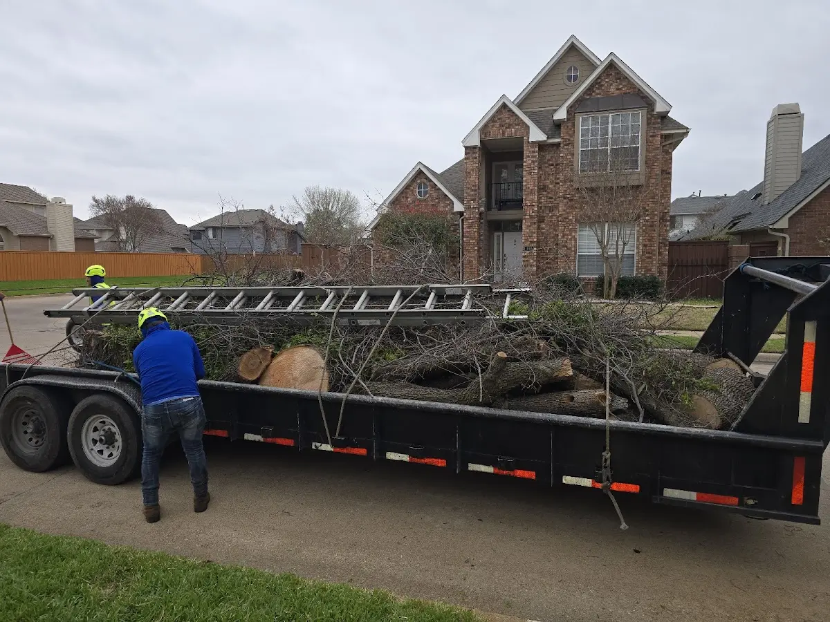 Expert Lot Clearing with proper safety equipment in Columbus
